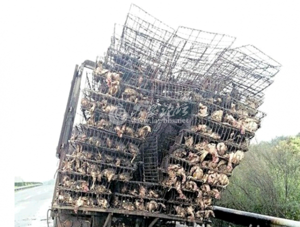 QQ截图20140610094311.png