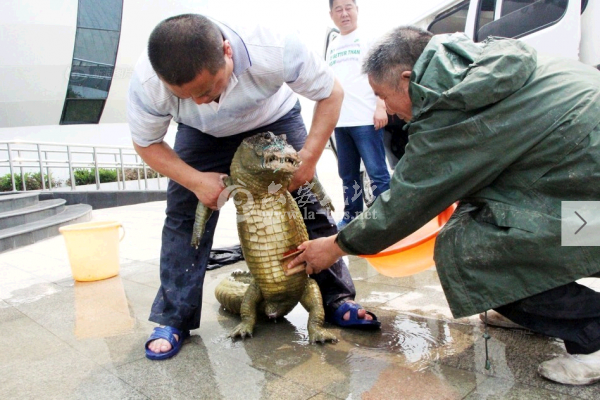 QQ截图20140612155324.png
