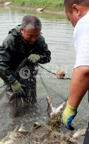 QQ截图20140612155354.png