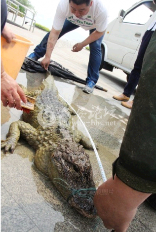 QQ截图20140612155501.png