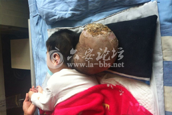 QQ截图20140613072515.png
