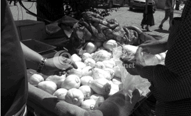 QQ截图20140614092411.png QQ截图20140614092411.png
