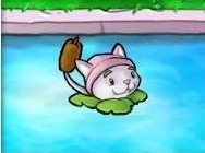http_imgloadCXJK3HBB.jpg