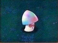 穿.jpg