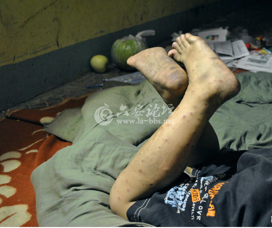 QQ截图20140615085105.png