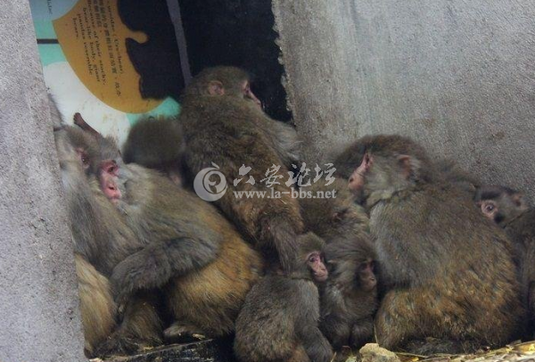QQ截图20140616184957.png
