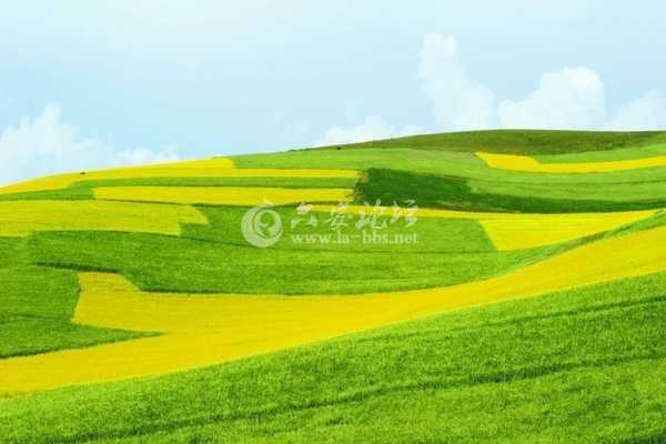 门源2.jpg