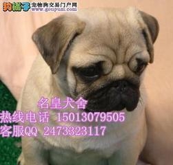 t0151c2d7af202729d6.jpg