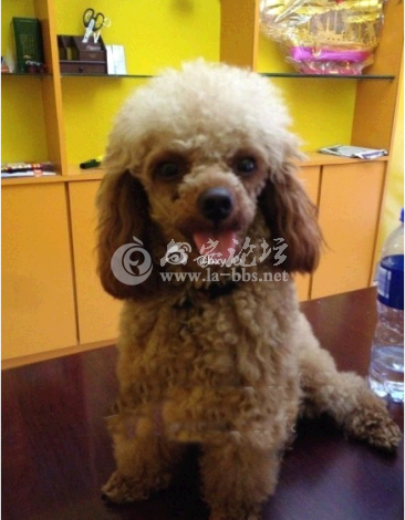 QQ截图20140617143013.png