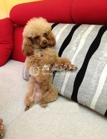 QQ截图20140617143022.png