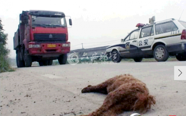QQ截图20140617151751.png