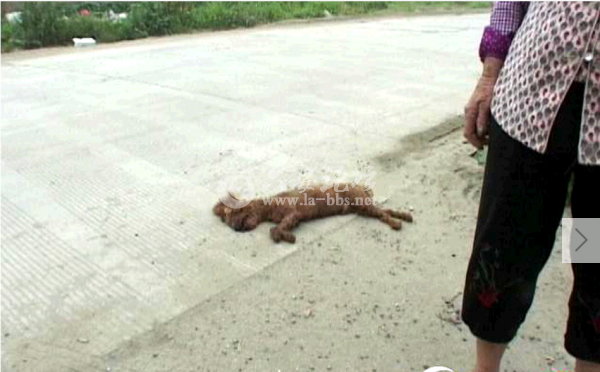 QQ截图20140617151802.png