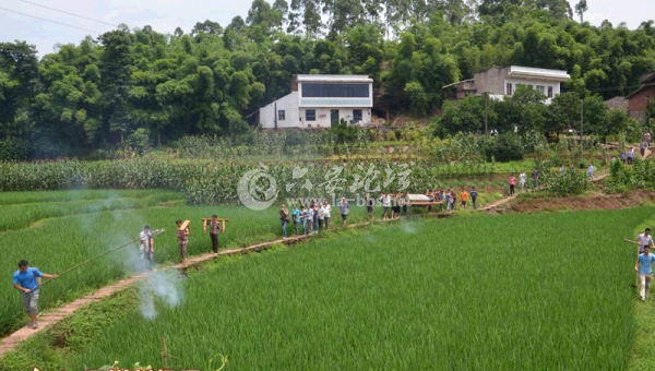 QQ截图20140617152219.png
