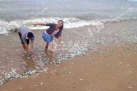 QQ截图20140618090507.png