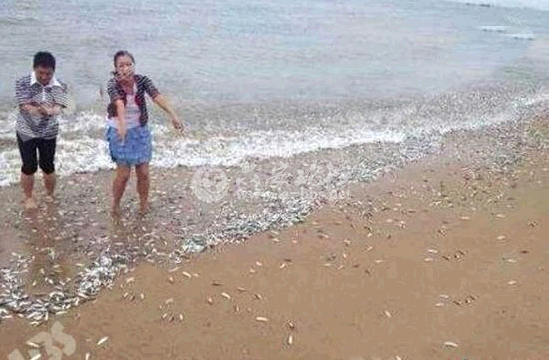 QQ截图20140618090534.png
