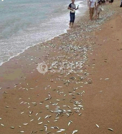 QQ截图20140618090526.png