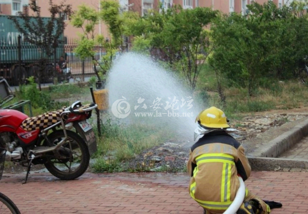 QQ截图20140620160401.png