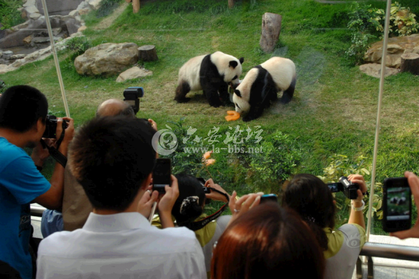 QQ截图20140623110914.png
