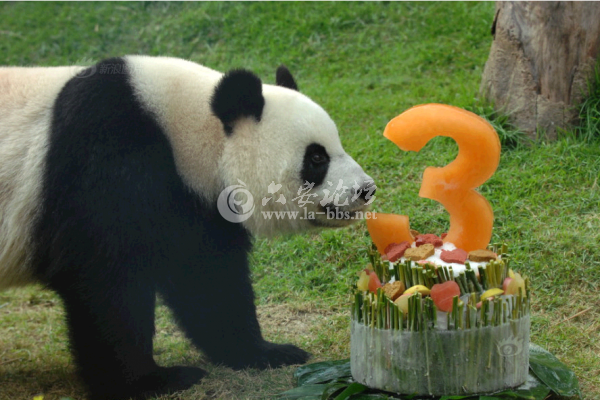 QQ截图20140623110935.png
