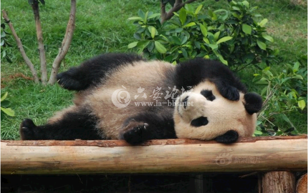 QQ截图20140623110946.png
