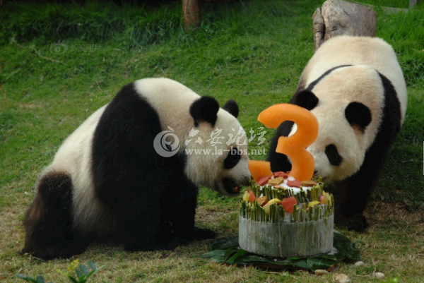 QQ截图20140623111345.png