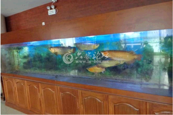 QQ截图20140623153648.png