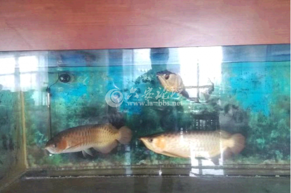 QQ截图20140623153655.png
