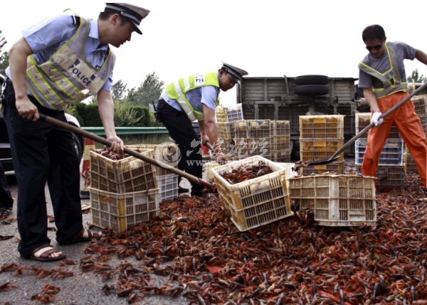 QQ截图20140615102947.png