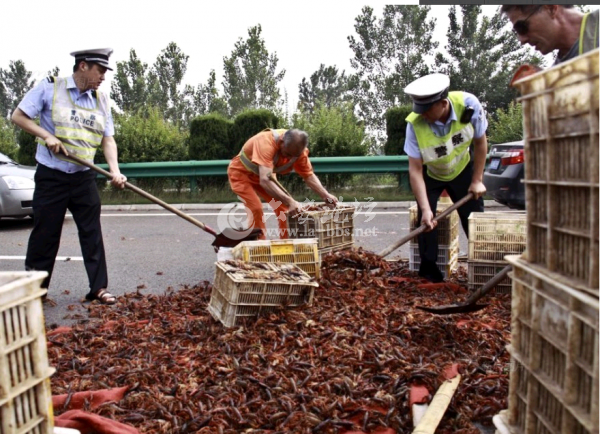 QQ截图20140615102958.png