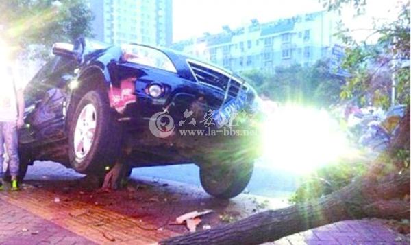 QQ截图20140615104201.png