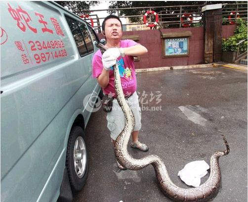 QQ截图20140615111114.png