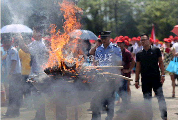 QQ截图20140617105237.png