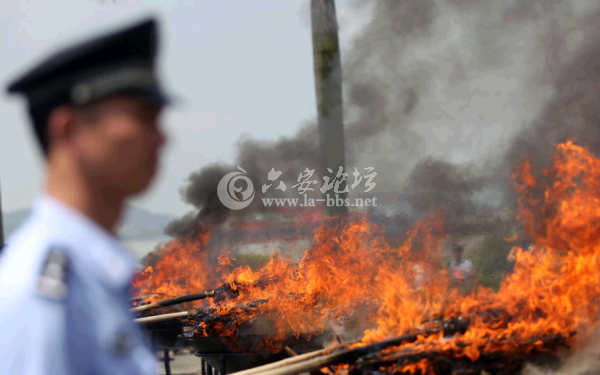 QQ截图20140617105303.png