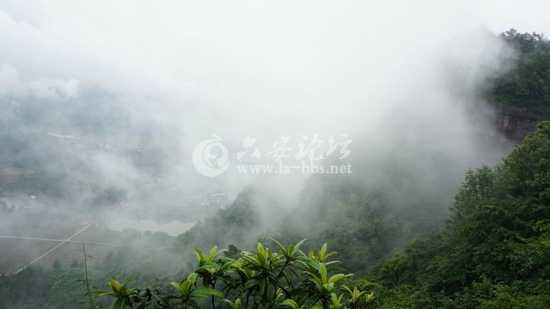 云雾缭绕.jpg