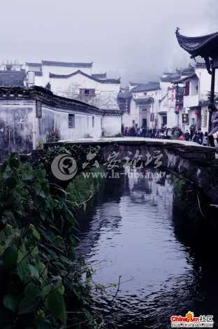 她.jpg