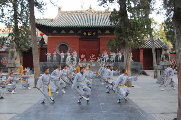 11月20日照片 068.jpg