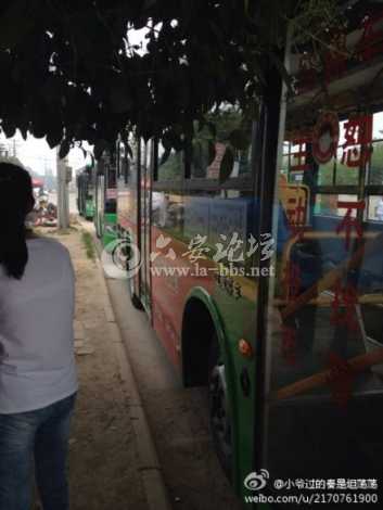 816332acjw1ei6hnaei7gj20dc0hs76g.jpg