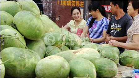 QQ截图20140705081110.png