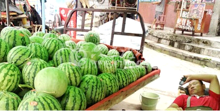 QQ截图20140705081124.png