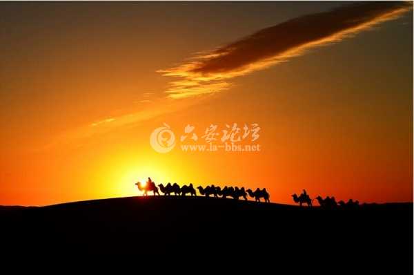 QQ图片20140711105633.jpg