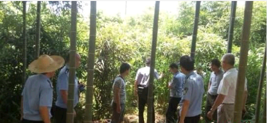 QQ截图20140709150134.png