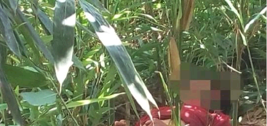 QQ截图20140709150150.png
