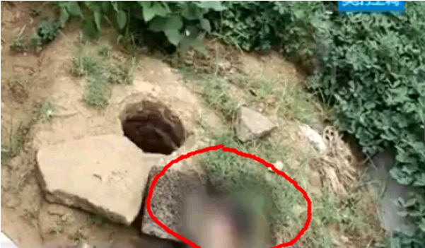 QQ截图20140728111200.png