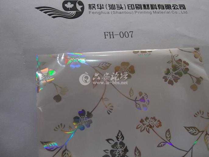 DESIGN 49 (fh007).JPG