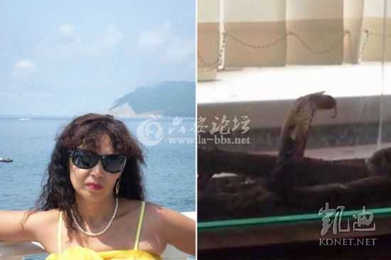 14081503937030420.jpg 14081503937030420.jpg