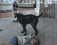 20140812062547828.gif
