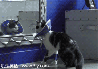 20140623113244364.gif
