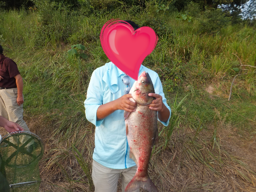 2014-08-22 14.45.36.png