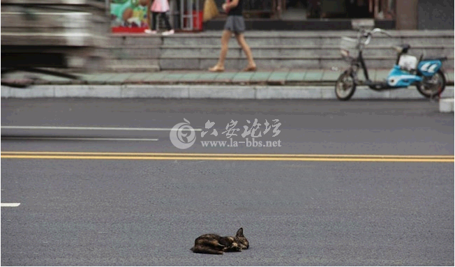 QQ截图20140819101104.png
