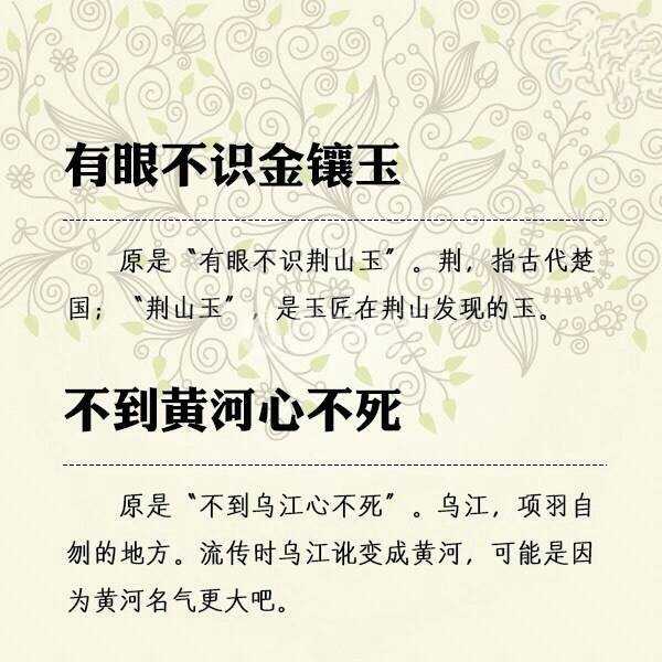 QQ图片20140831083426_副本.jpg